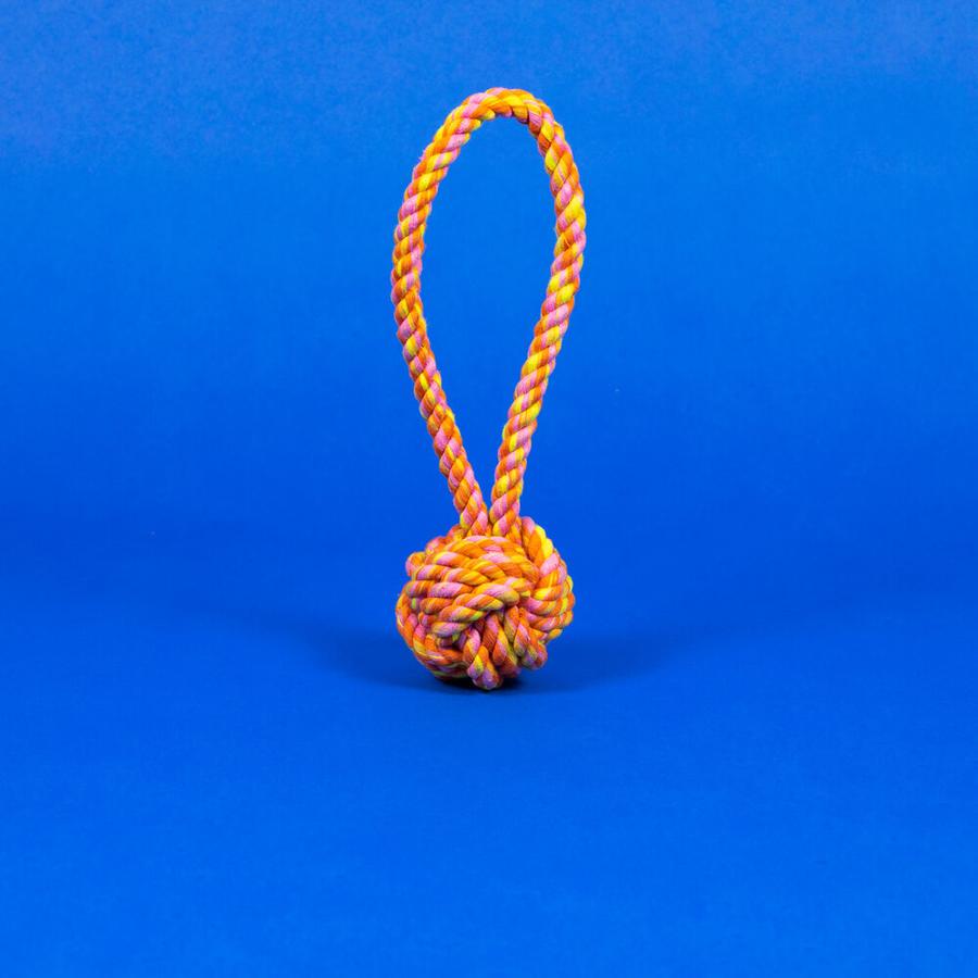 bronzen Rust uit uitvinden Ware of the Dog - Speelgoed touw oranje, roze, geel - Small - Hond | Oozy  Earth